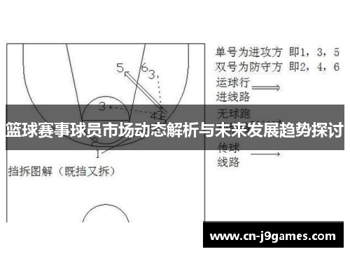 篮球赛事球员市场动态解析与未来发展趋势探讨