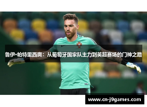 鲁伊·帕特里西奥：从葡萄牙国家队主力到英超赛场的门神之路