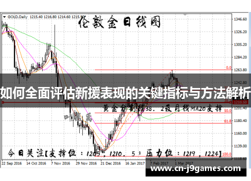 如何全面评估新援表现的关键指标与方法解析