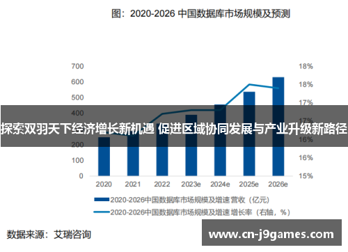 探索双羽天下经济增长新机遇 促进区域协同发展与产业升级新路径