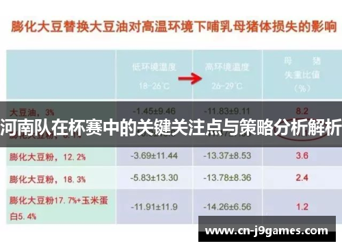 河南队在杯赛中的关键关注点与策略分析解析